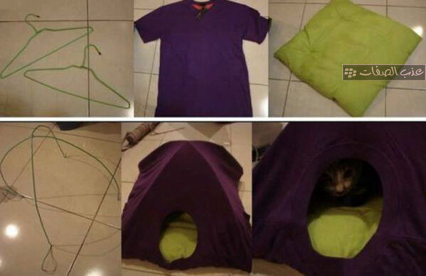 منزل للقطط بأقل التكاليف :)