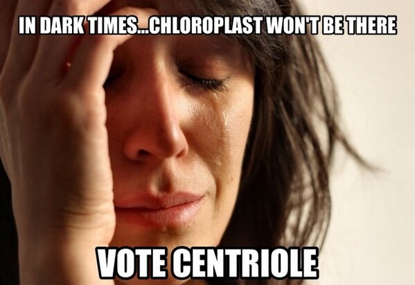 aCENTRIOLElyfe's tweet photo. @ChloroplastLyfe what do you have to say for yourself #duecedit #votecentriole #organelleelection2013 http://t.co/o7kproF5