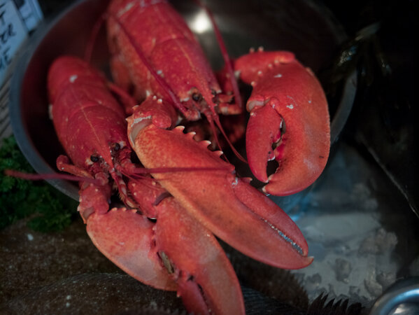 Lobsters landed at Brancaster Staithe available now !!
Ring us and collect yours just boiled, warm and ready to eat.