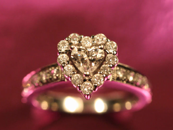 BCFpics's tweet photo. Valentine. http://t.co/fPK17txq