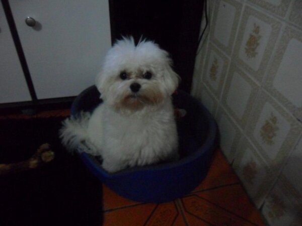 Jul_http's tweet image. "MEU PRIMO"!! -&amp;gt; MARLEY!