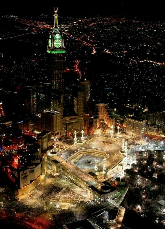 abo bandr tweet media