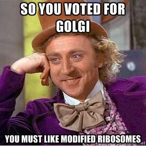 PhyllPlast's tweet photo. let me just quote a campaign flyer: "Ain't nobody like the golgi body" and no one does. #organelleelection2013 http://t.co/wsmCyQO3