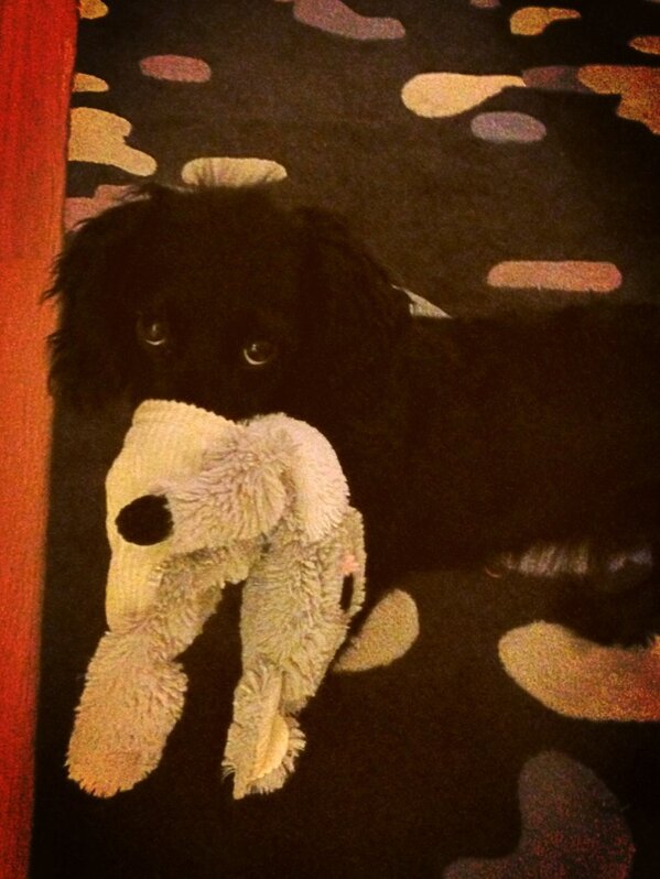 Thomas Lesnick tweet media