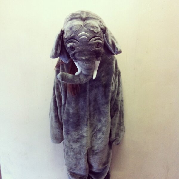 LauraCinque's tweet photo. Che bel carnevale vestita da #efelante http://t.co/EIPlRSdA