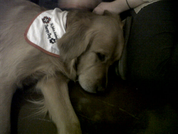 alana_kiteley's tweet photo. I got a puppy sleeping on my boot <3 I know @voteteamwhelan loves puppies #voteusc http://t.co/QvYZjTFW