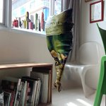 Photo by EverywhereWeShoot! (@EWWS)