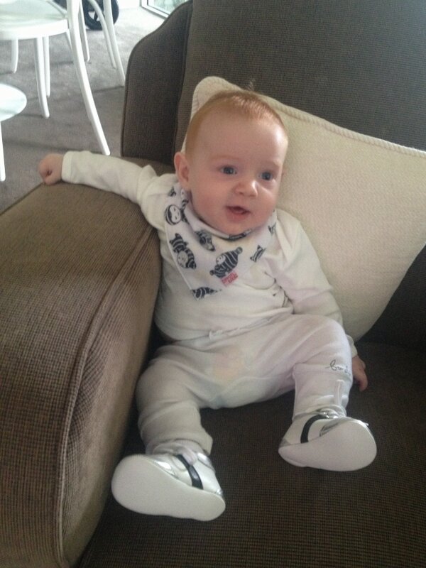 Peter Harvey tweet media