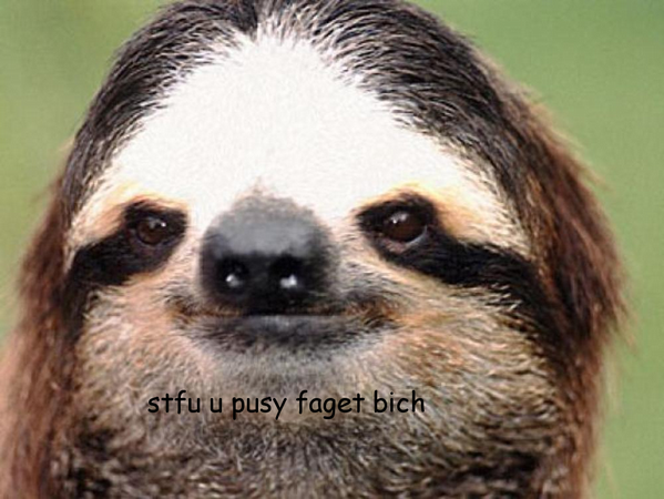 Rude Sloth tweet media
