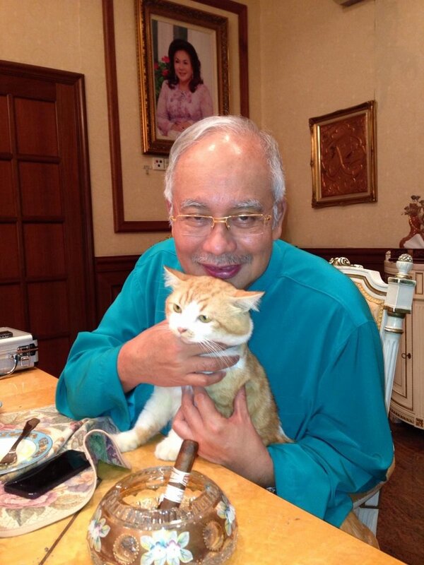 ProjekKucing's tweet image. Bergembiralah anda dengan PM pencinta kucing kita ini. #YOLNT