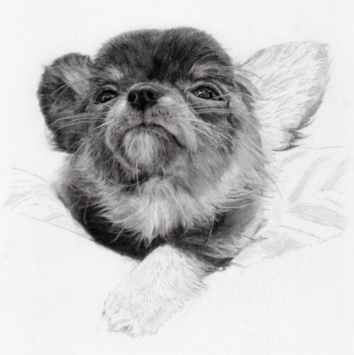 リアル似顔絵のtwitterイラスト検索結果 古い順 リアル似顔絵のtwitterイラスト検索結果 古い順