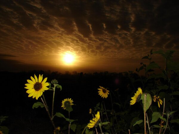 oamg76's tweet photo. @prissila_INFO7 hola, mira el amanecer en el valle del pilón en Montemorelos, saludos http://t.co/IOpg3NX5