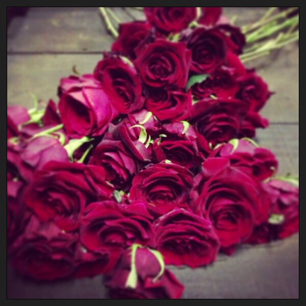 UandCoEvents's tweet photo. Another little look at what to expect at the @UandCoEvents stall at #AWLS2013 

#redroses http://t.co/m4lGJVzX