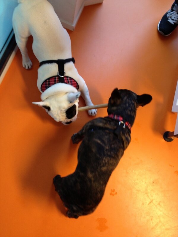#liefde is: samen delen!
