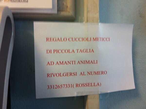 Roberto Ripa tweet media