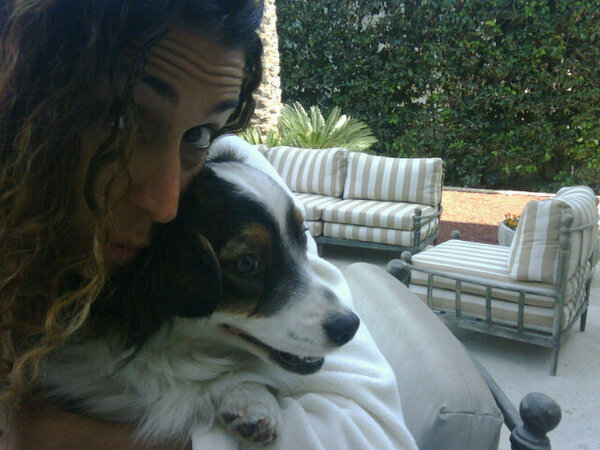 SoyWendySanchez's tweet image. Mira a quien tengo apapachadooo @coquisv #Meditando #Dog #DifferentEnergy