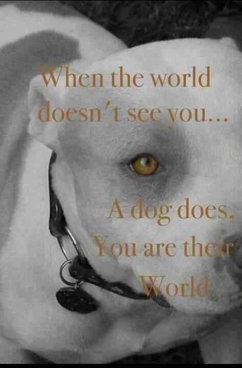 devils8383's tweet image. 