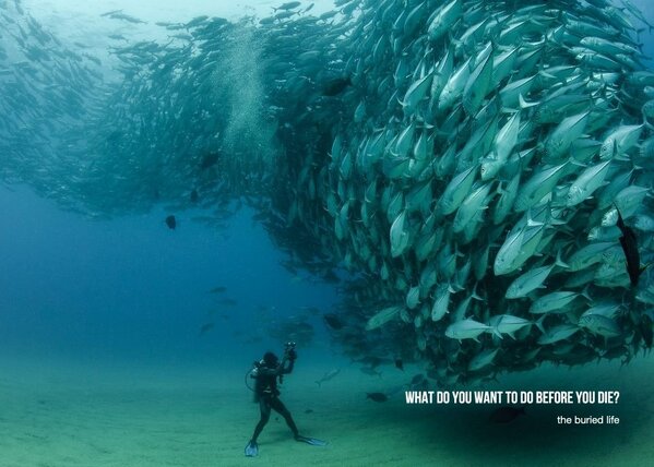 theburiedlife's tweet image. 