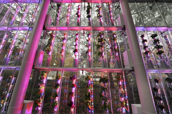 windowfarms's tweet photo. @everepicurious that's what LED grow lights are for! check out a pic of #windowfarms installation at @AMNH uses lights http://t.co/FkjOOMMH