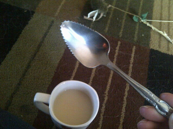 krystalxx34's tweet image. I'd be scared to eat my pudding with that #thingsyousay #jesshollatings