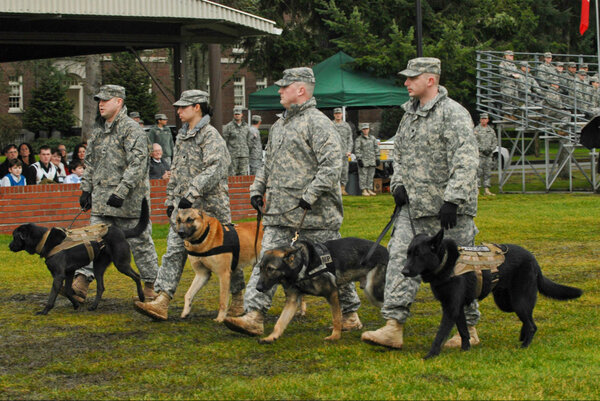 I_Corps's tweet photo. Military working #dogs pass, review during 42nd MP Brigade Change of Command.  http://t.co/kZalWsy3 @USArmy #JBLM #MWD http://t.co/G97noyvb