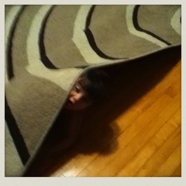 KaylaViolet's tweet photo. "@AustinDimmery: Just posted a photo (via @camera_fx) http://t.co/AnV1j56d" nice pic