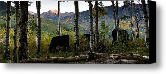 Snapographs's tweet image. New artwork for sale! - "Capital Peak" - fineartamerica.com/featured/capit… @fineartamerica