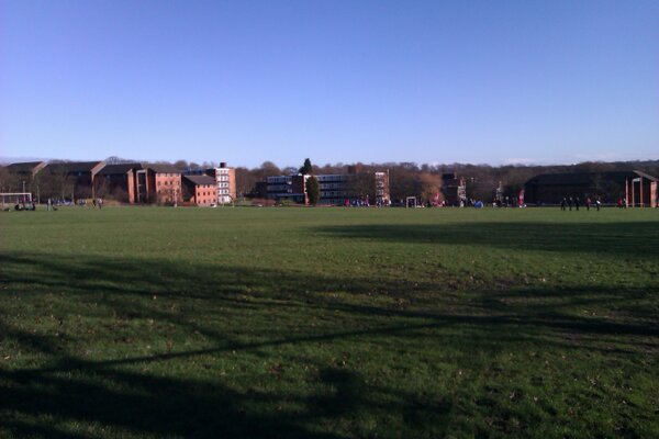 At #bucscrosscountry, the pitch is already waterlogged. Gonna be a beautiful if somewhat muddy day