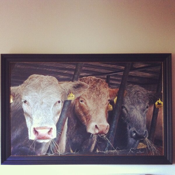 A special commissioned painting. Photo taken of cattle at farm before export &amp; then painted by johnfitzgeraldart.ie