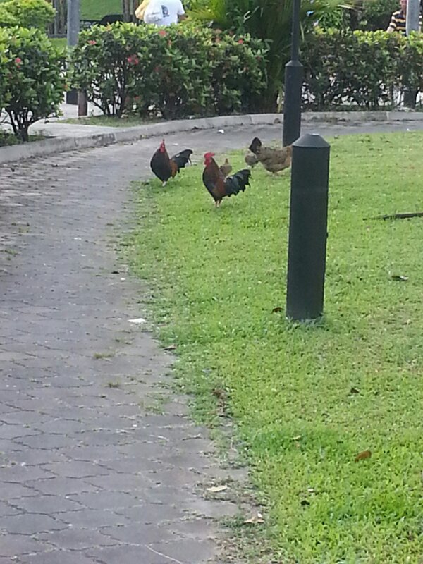 _tets_ tweet picture