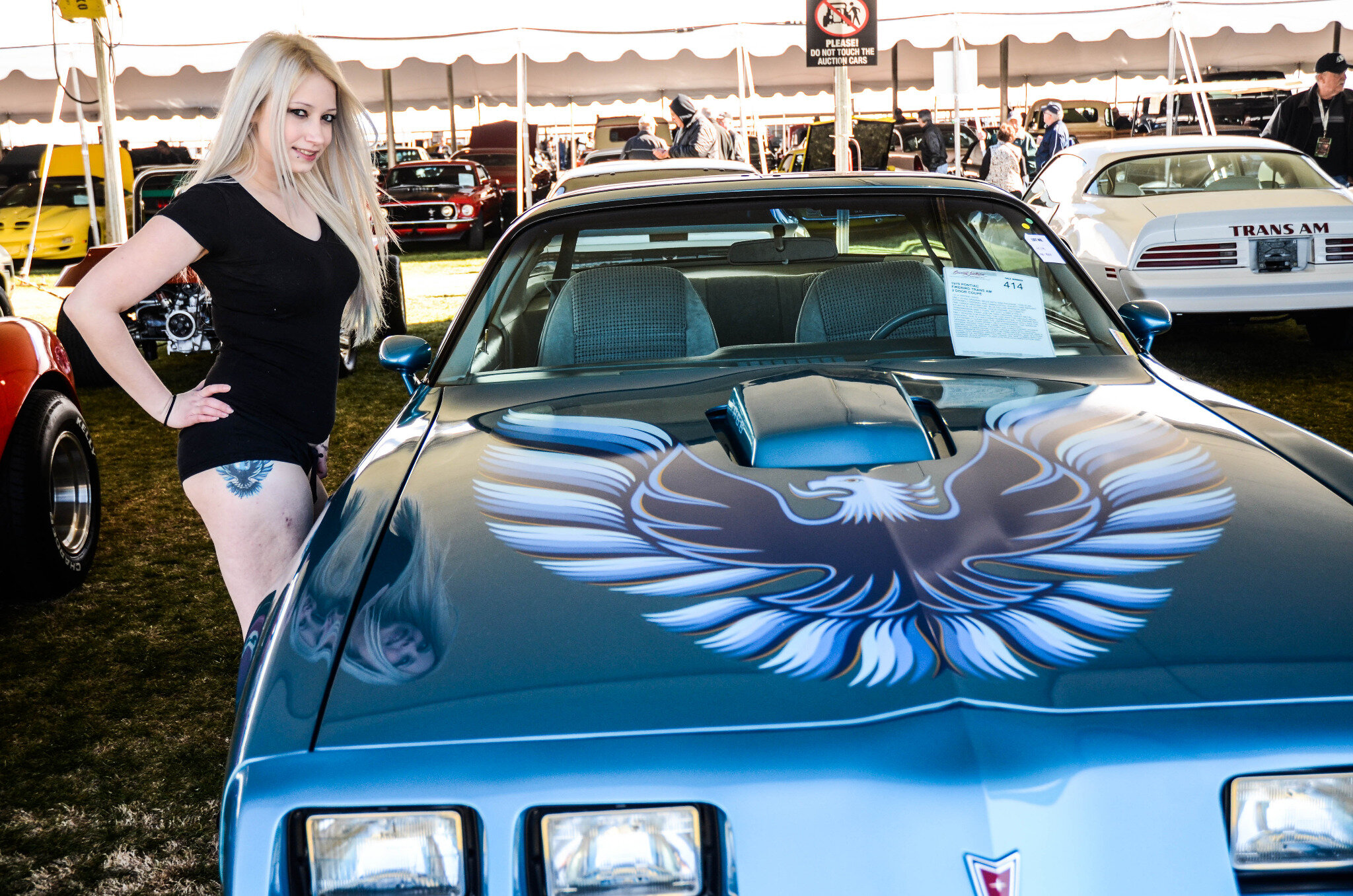 TW Pornstars - Ranie Mae. Twitter. This is where my tattoo comes from :). 1:42 PM - 2 Feb 2013