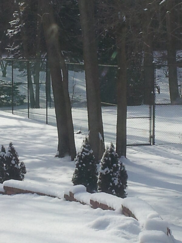 AKLuvzTennis's tweet image. Tennis court covered by snow. Definitely a #TennisProblem.