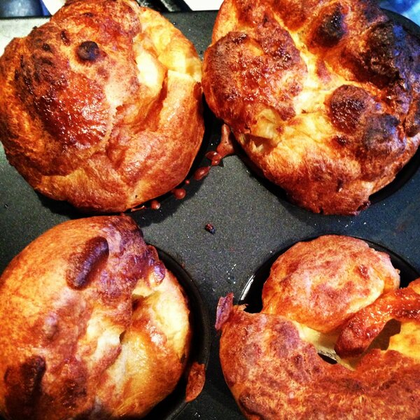 AmaniAQ's tweet photo. Auntie Amani's Yorkies! Yeahuh! :) http://t.co/ZEKK8OgI