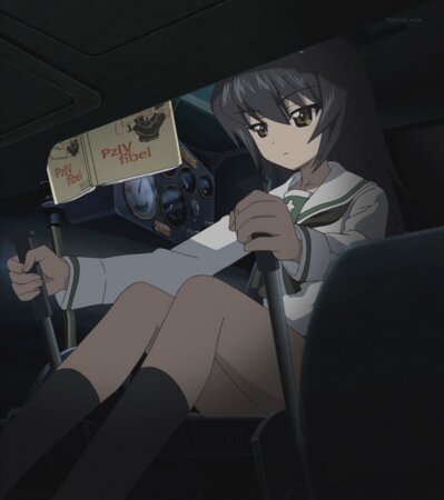 sdkfzbot's tweet image. 操縦手　操縦する人。