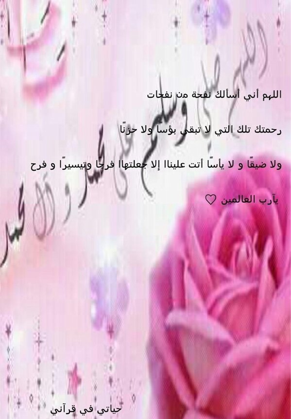 hasoos51 tweet picture