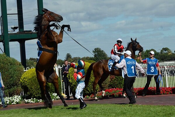 Amazing photo captured by <a href="/greg_irvine/">1221nagi</a>