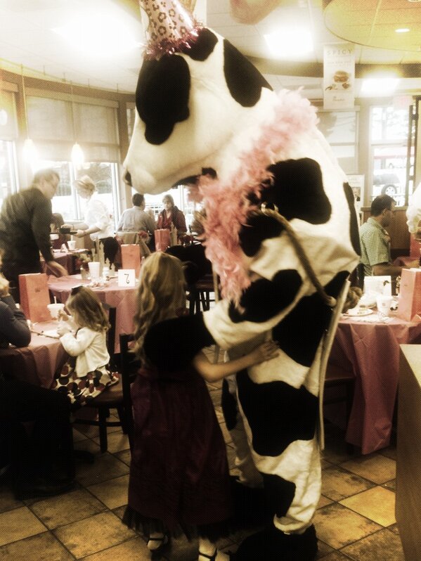 May I have this dance? #cow #ChickfilA