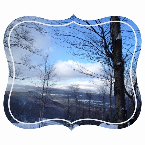 CloverTreeCr's tweet image. #landscape #beautiful #lakeplacid