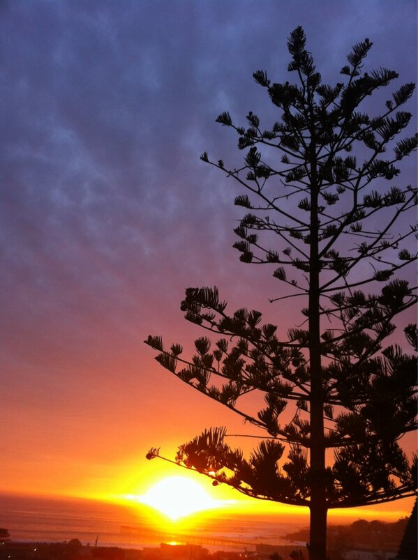 RsquaredLabs's tweet image. Santa Rosa Creek loop done.  Team R squared training series is in full effect!