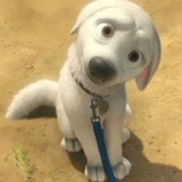 DreamGirlFlower's tweet photo. @SuperBarkPup aww I love your icon and your background photo :) http://t.co/bWsSVTqR