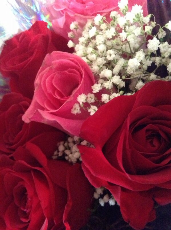 Jessica Studzinski tweet media