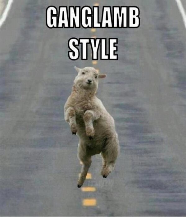 LoneIy_'s tweet photo. @AimeeWhaites Laughed way to hard at dis .. http://t.co/HNzdR7fI