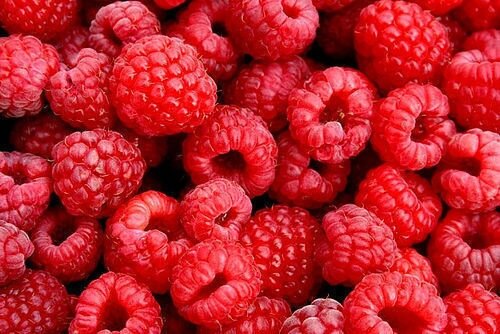 FoodFromHeaven's tweet photo. Retweet als je frambozen lekker vindt! #FoodFromHeaven http://t.co/A0wacuW7