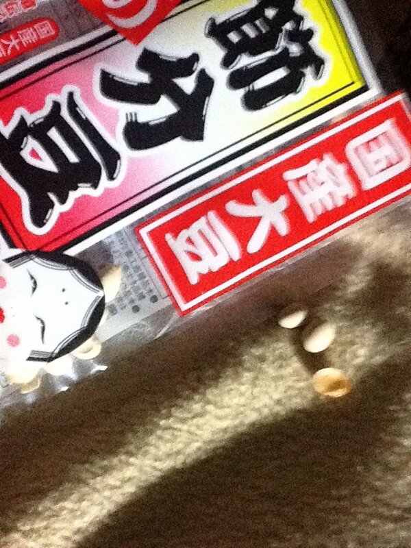 冨田麻里 7thclouds公式ツィート 鬼は外 福は内ー先ほど終了 当年7歳になるびすけは節分豆食べ過ぎたぁかな 正月すぎ てすぐ買い置きして置いた節分豆は温かい空気を吸いすぎ気味でしたが 今年も元気にびすけと豆まき 邪気を払い早春の福をとりいれ元気