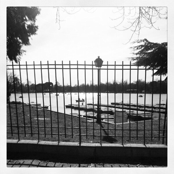 _nelionline's tweet image. Domingo en el #Retiro #Madrid
#34of365