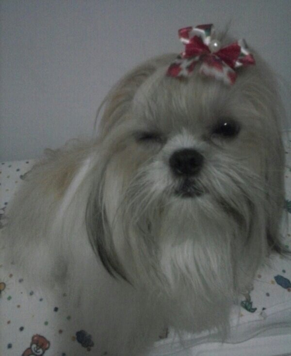 barbie_desa's tweet photo. Otimo domingoooo a tds http://t.co/8qtPvWW4