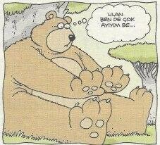 bazıları gerçekten çok ayı!