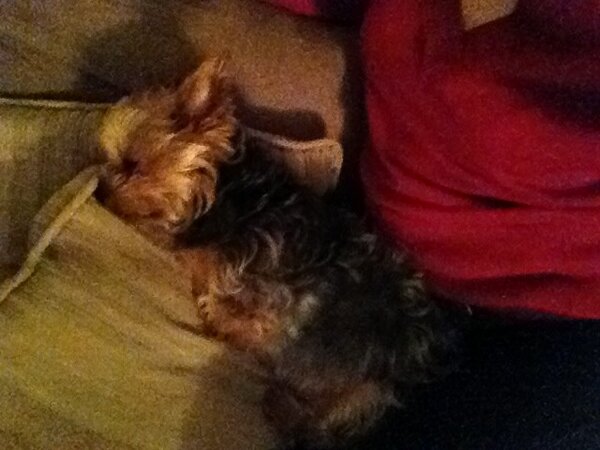 sabess's tweet photo. Waiting for Half Time. #superbowl47 http://t.co/ioO0pIPY
