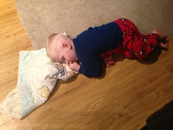 nichollsh's tweet photo. Thought he was quiet, bless him x http://t.co/xvDZB7Gy
