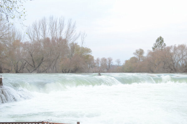Ebru Akgül tweet media